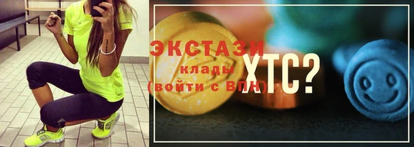 дживик Богородск